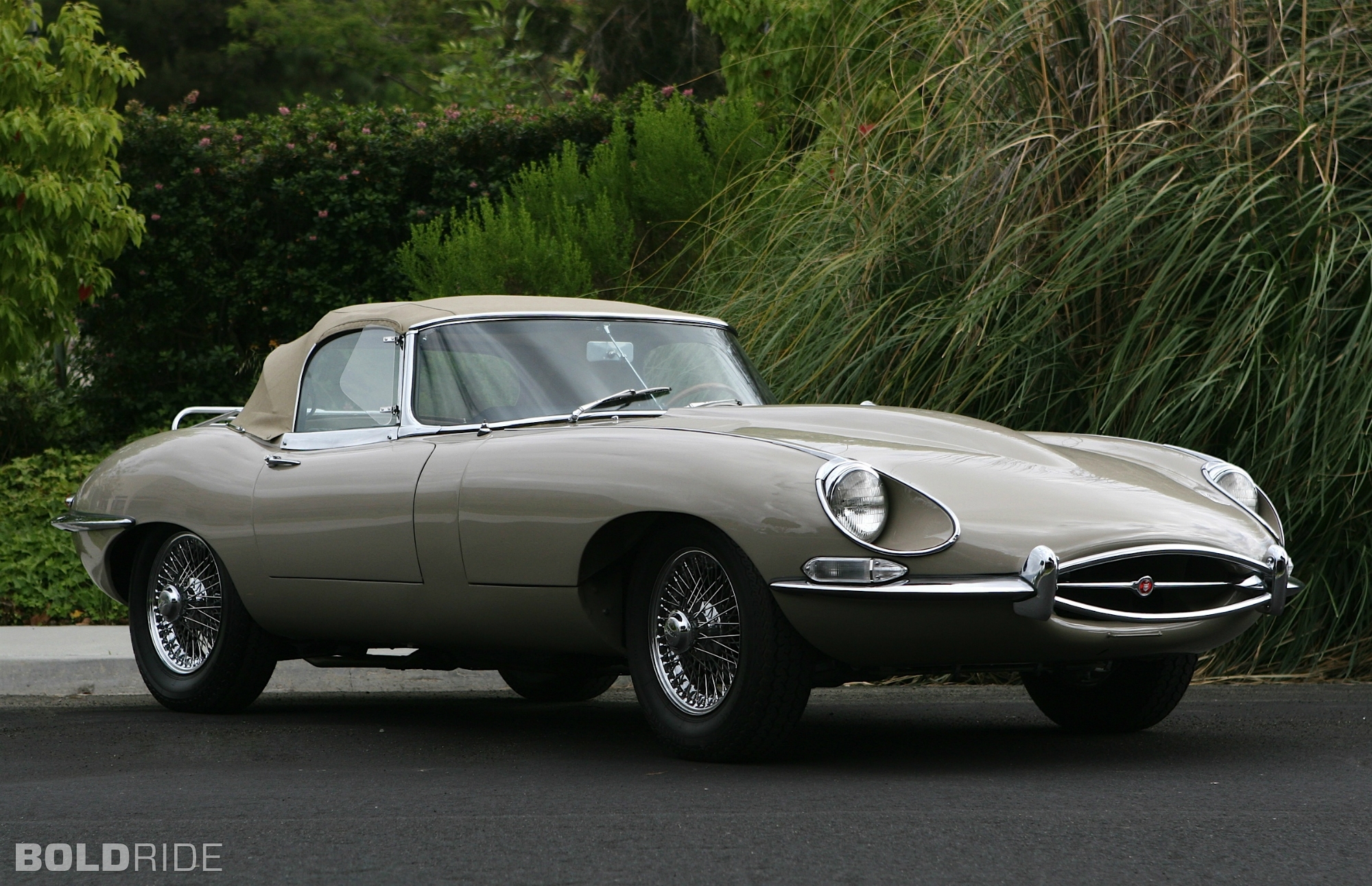 Jaguar E-Type Series 15