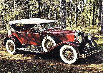 Cadillac 341A dual cowl phaeton