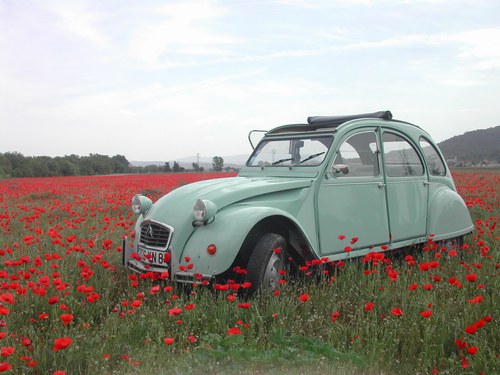 2CV 6 Special