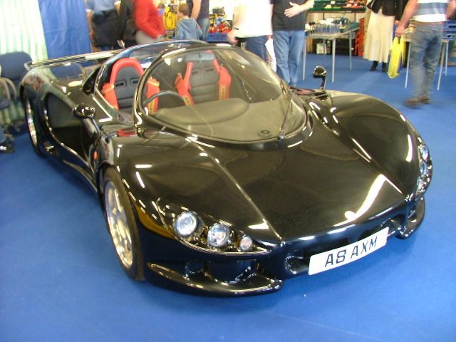 Pilgrim Minotaur Pilgrim Minotaur