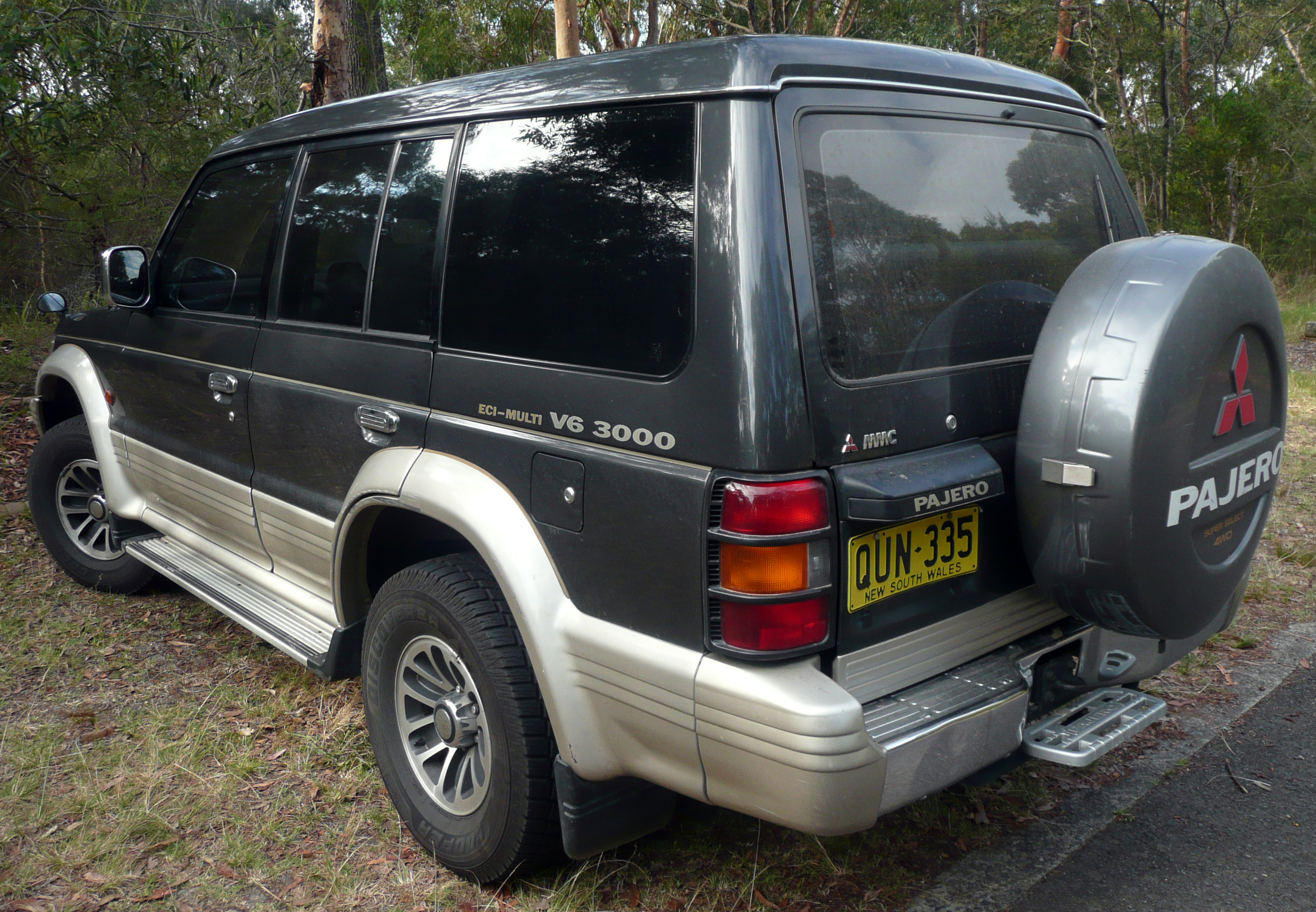 Mitsubishi Pajero Eci-Multi V6 3000