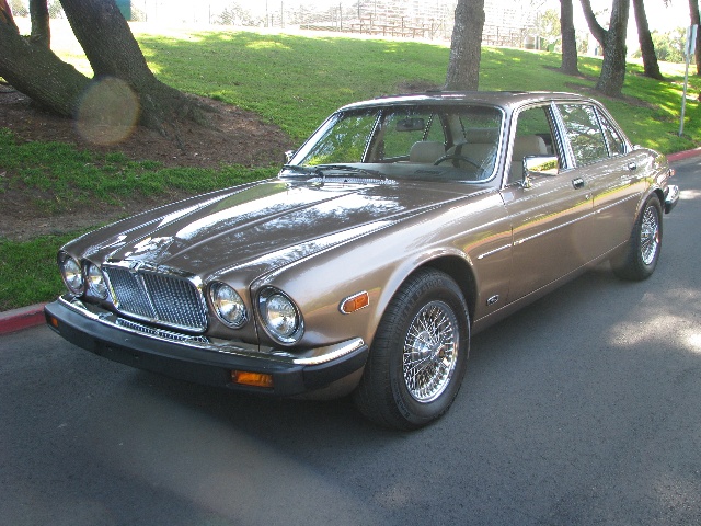 Jaguar XJ12 53 Coupe