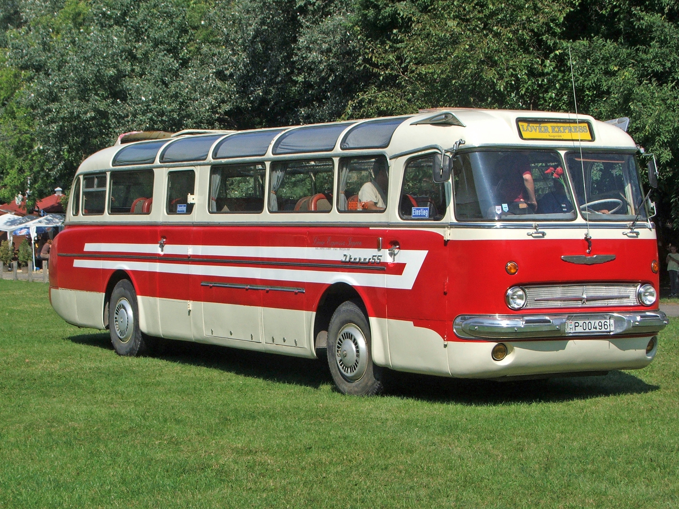 Ikarus Ikarus 55