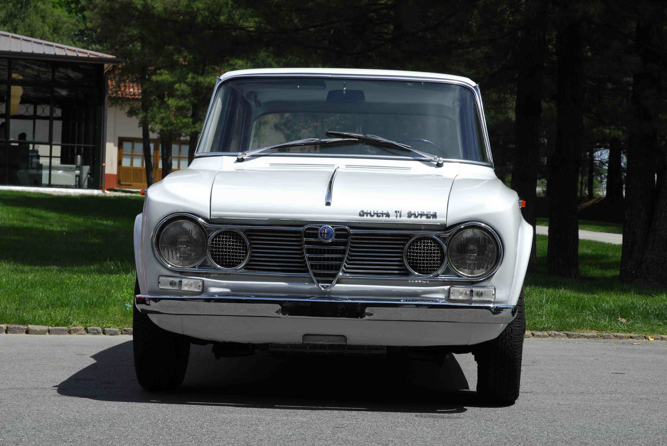 Alfa Romeo Giulia 1600