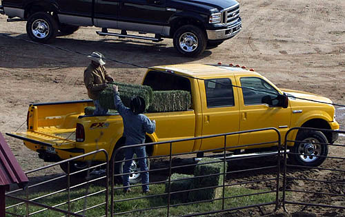 Ford F-250 Super Duty V8 Diesel