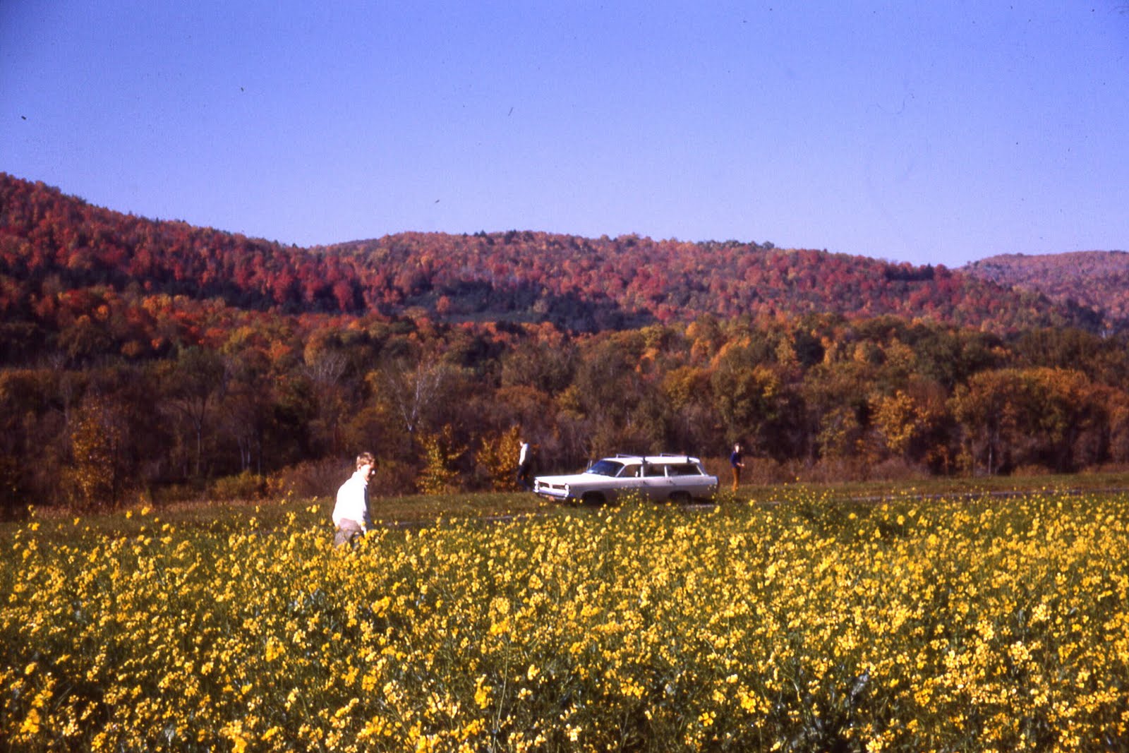 Pontiac Laurentian wagon