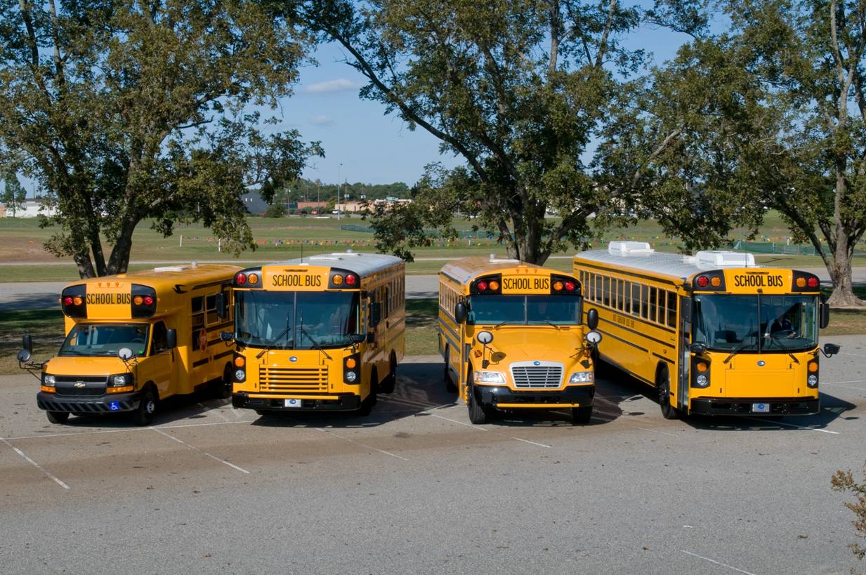 Blue Bird Bus