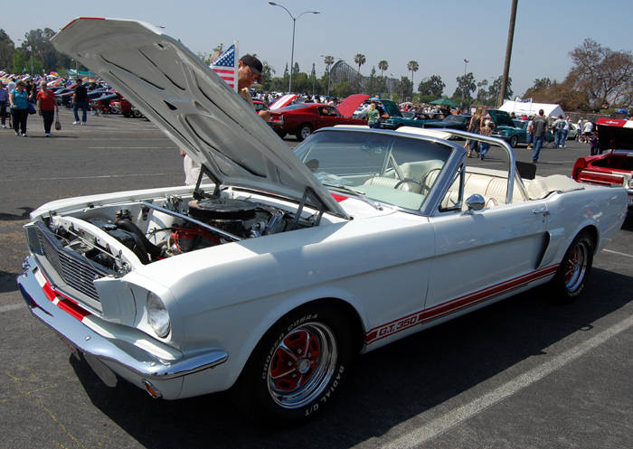 Shelby GT 350 conv clone