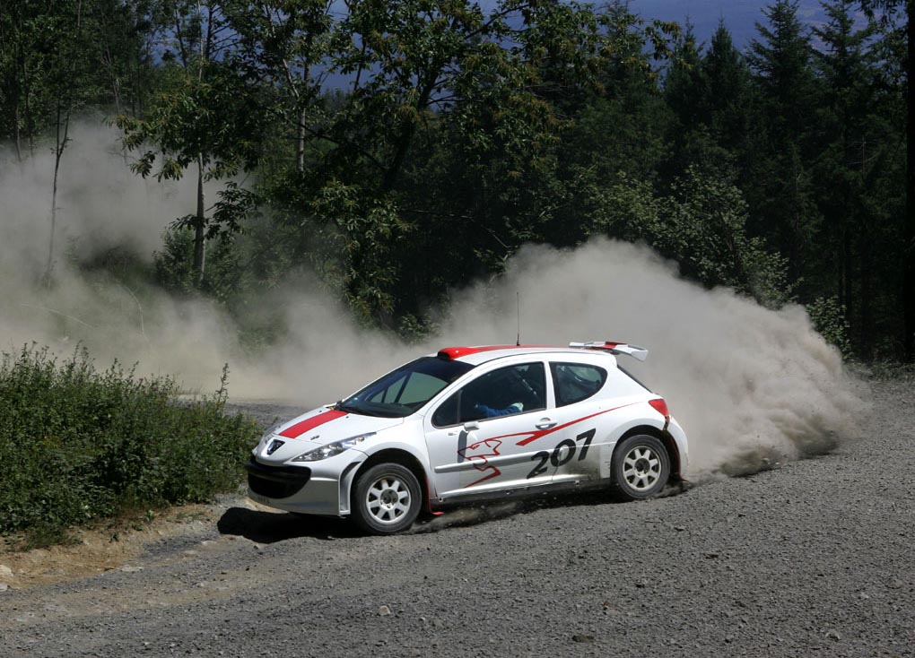 Peugeot 207 WRC