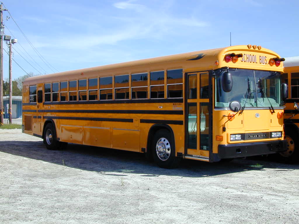 Blue Bird All American