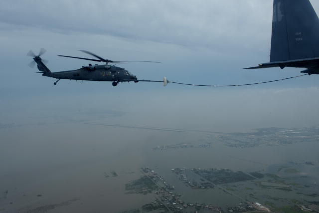 Hawk Unknown Hawk Unknown