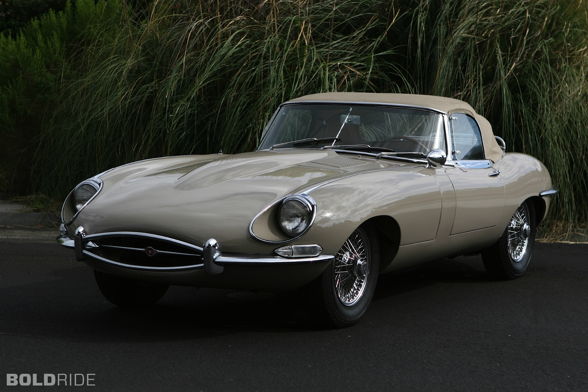 Jaguar E-Type Series 15