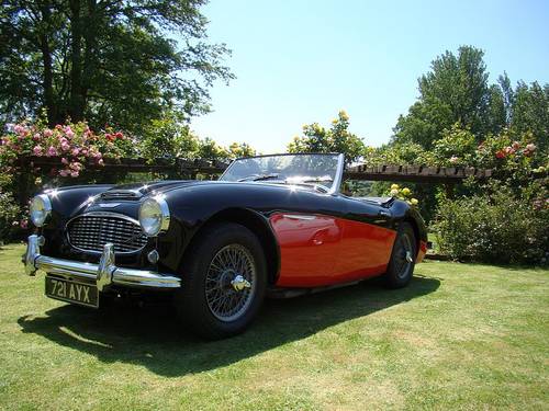 Austin Healey 1006