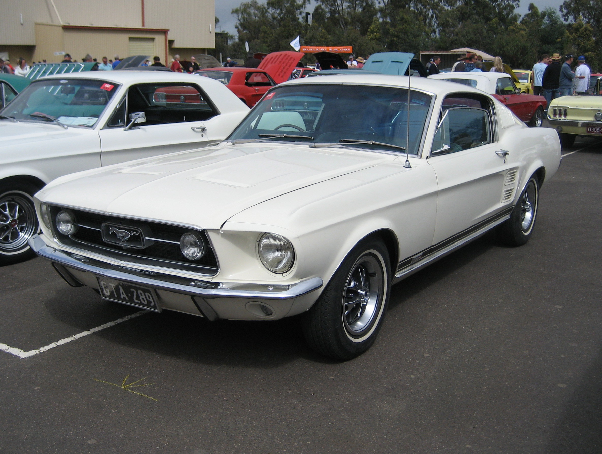 Ford Mustang GTA fastback