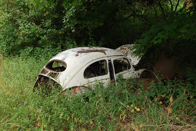 Volkswagen Typ1