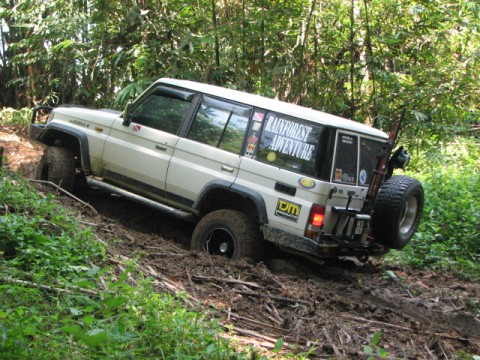 Toyota Land Cruiser II