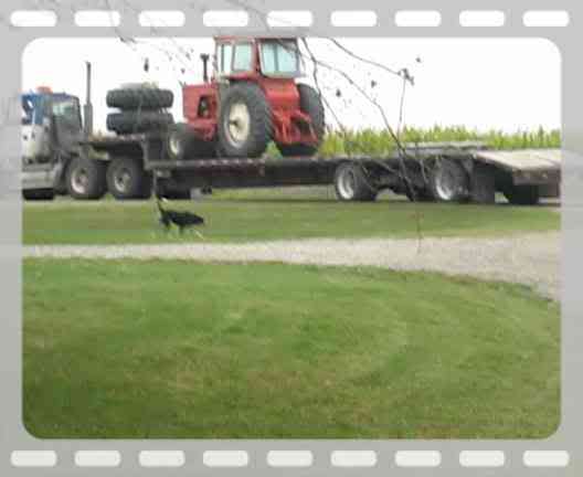 Allis-Chalmers Two-Twenty