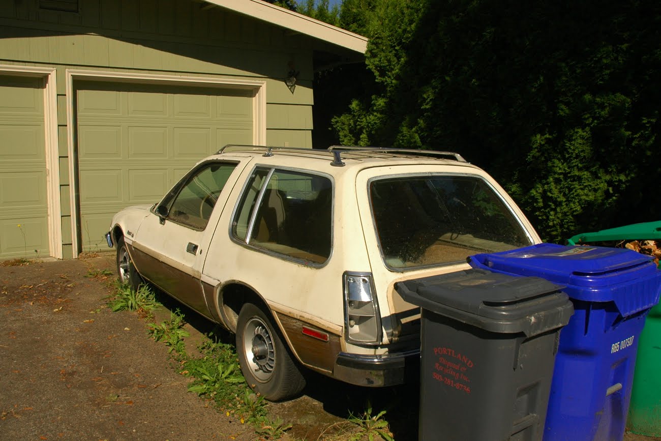 AMC Pacer DL