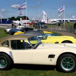 Moss Monaco Replica Cobra