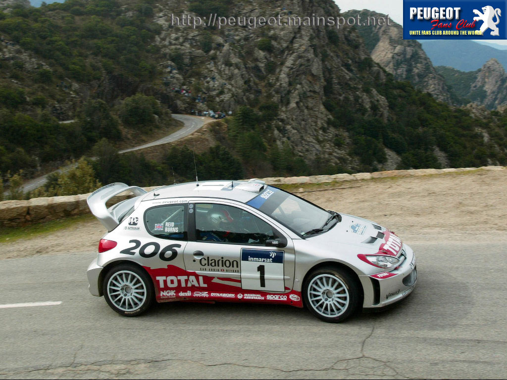 Peugeot 206 Rallye