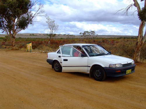 Holden Nova