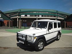 Mercedes-Benz 250 TD hearse