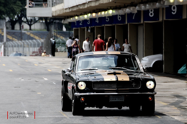 Ford MUSTANG GT350 Hertz