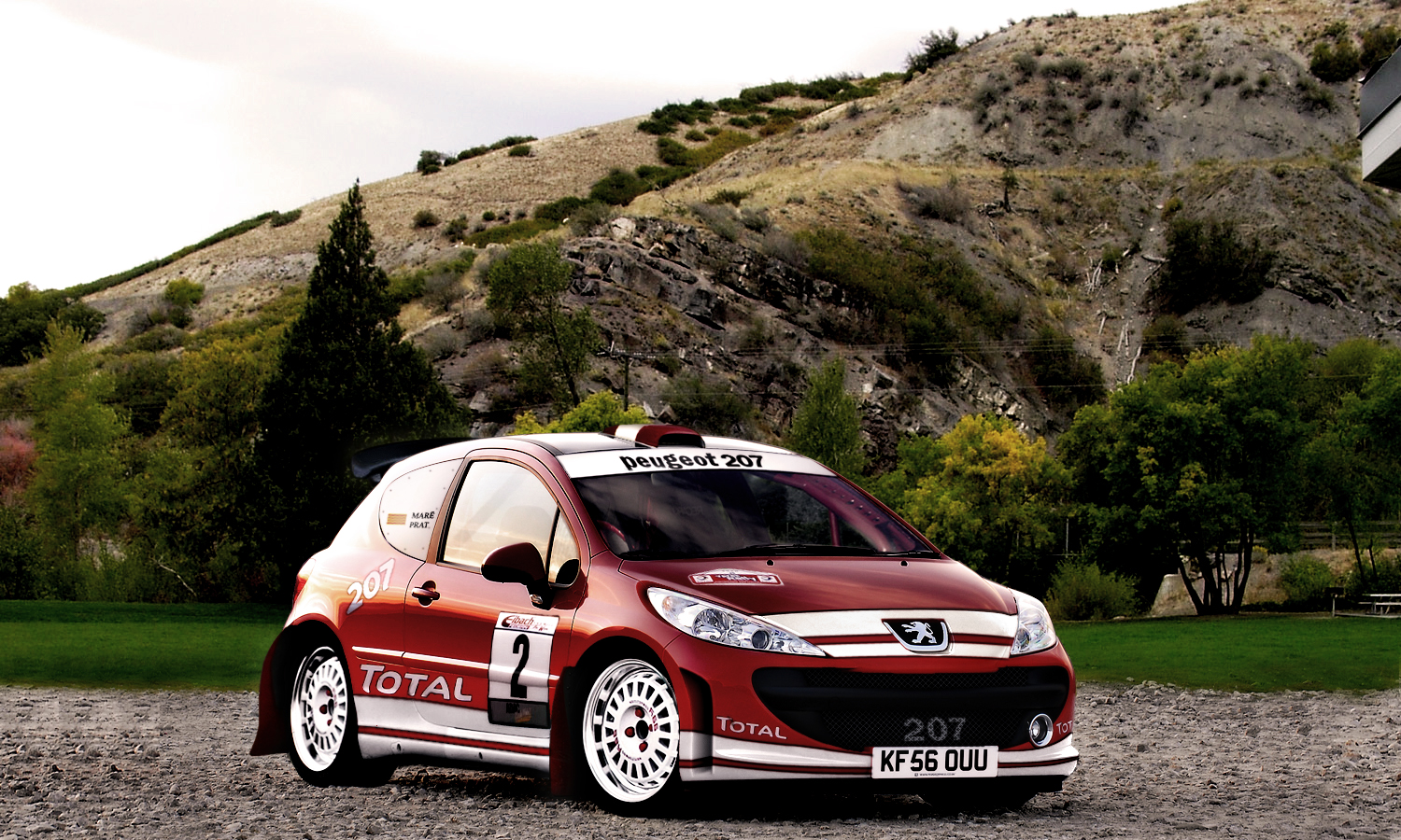 Peugeot 207 WRC