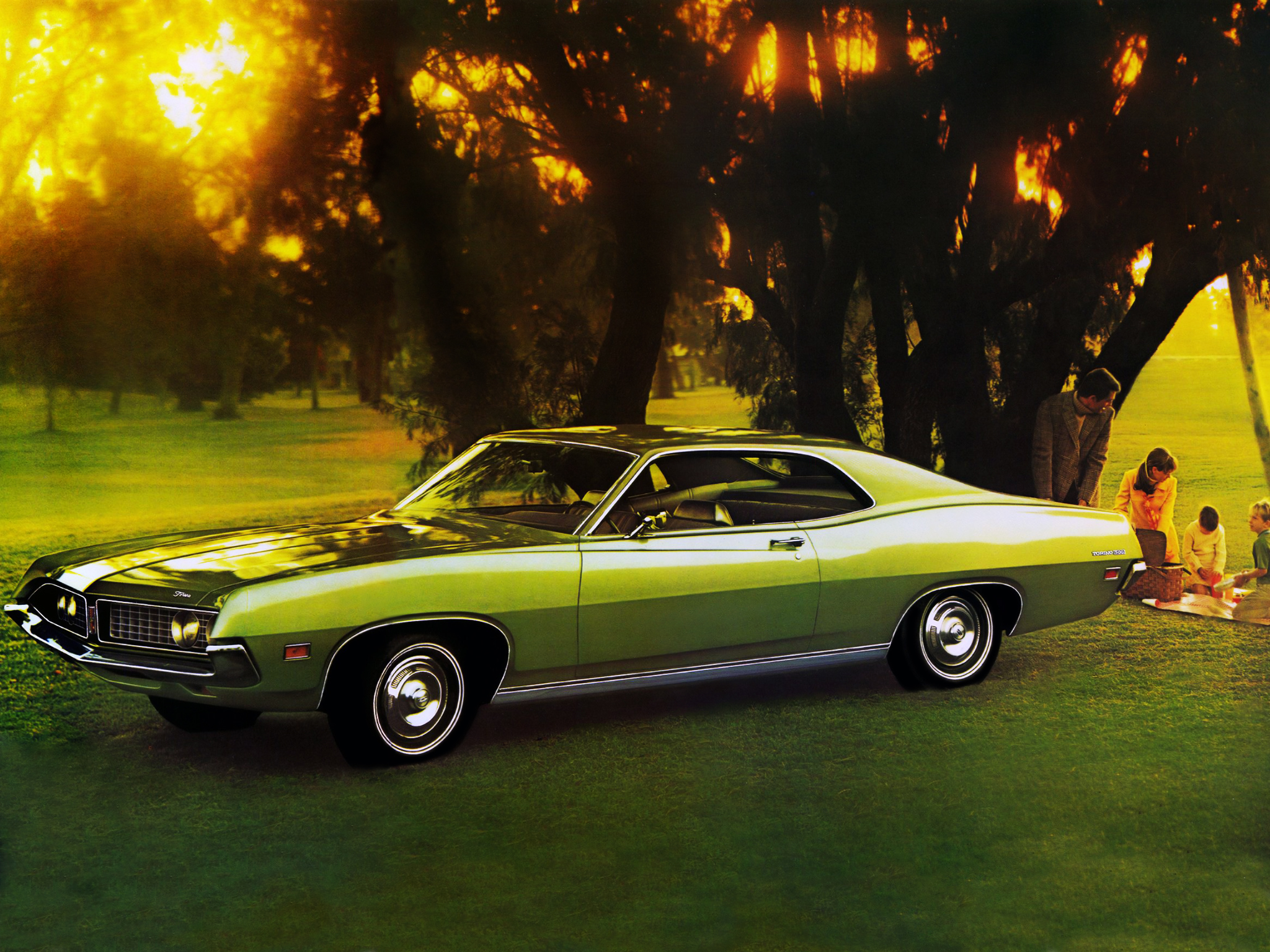 Ford Torino 500