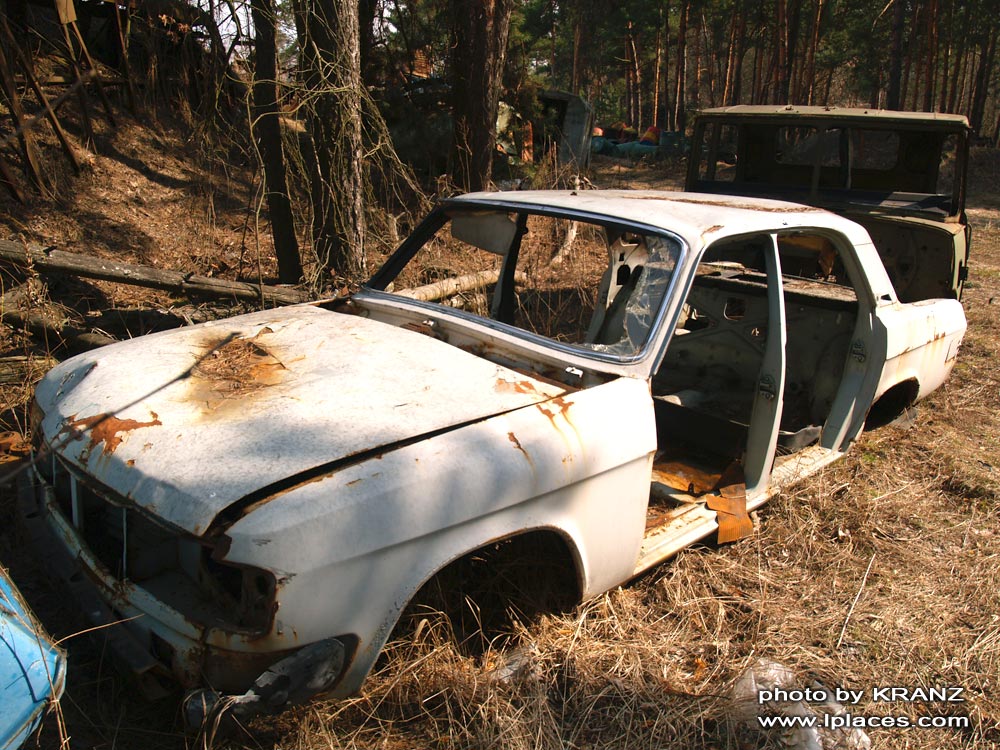 GAZ Volga 31029