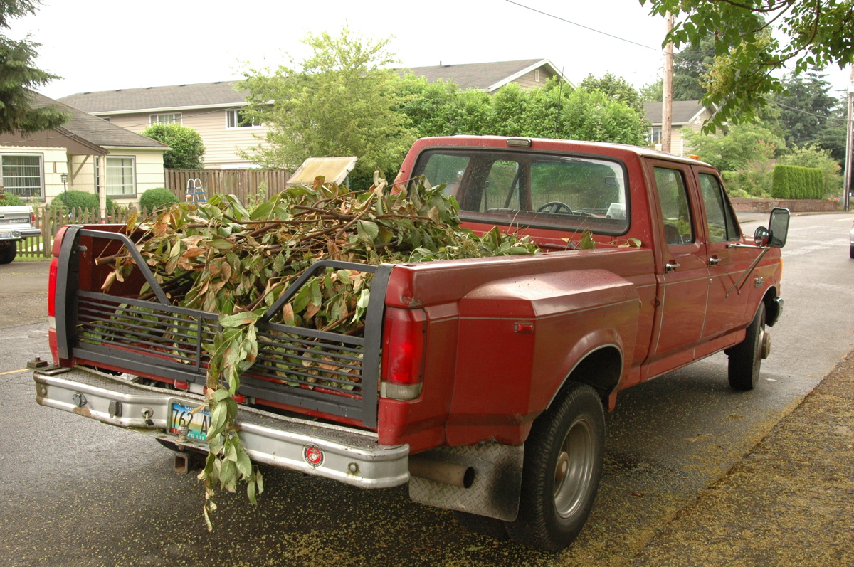 Ford F-350 Custom Crew Cab