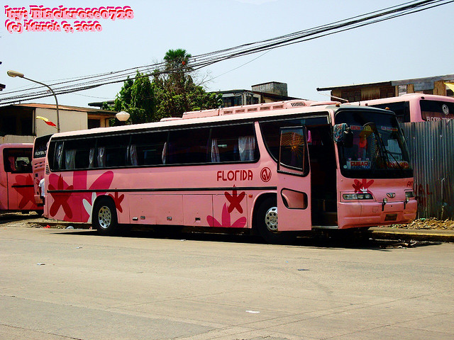 Daewoo BH116 Royal Luxury