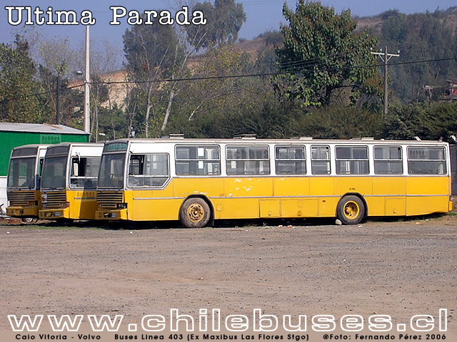 Caio Vitria Caio Vitria