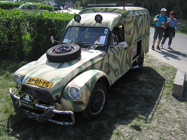 Citroen Acadyane Citroen Acadyane