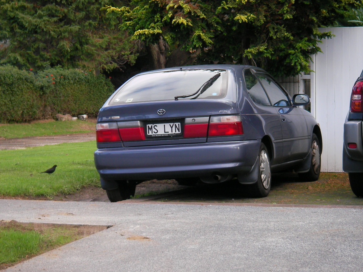 Toyota Corolla FX-FJ