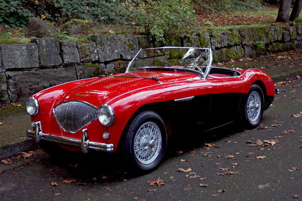 Austin-Healey 1004