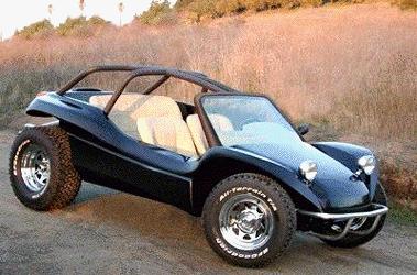 Meyers Manx