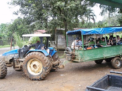 Gray Drum Drive Tractor