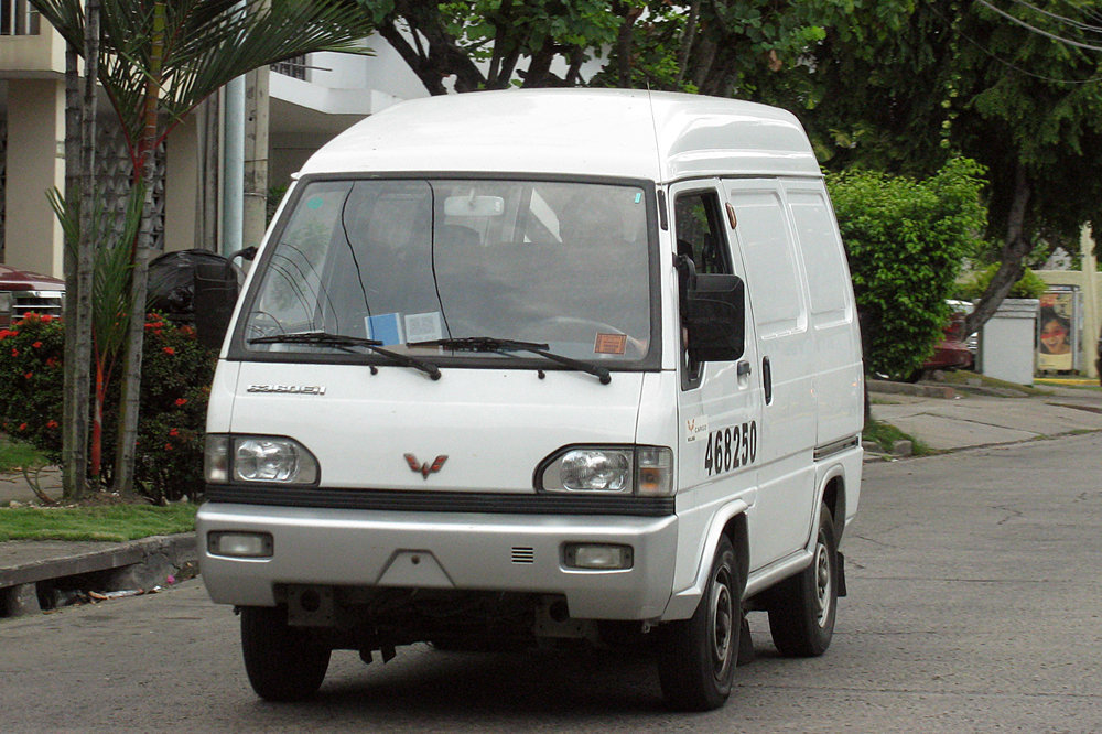 Wuling LZW1010PSLNEiI