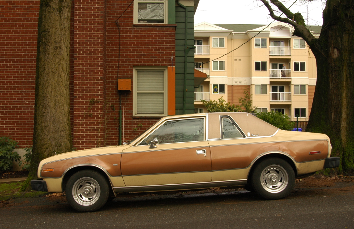 AMC Concord DL