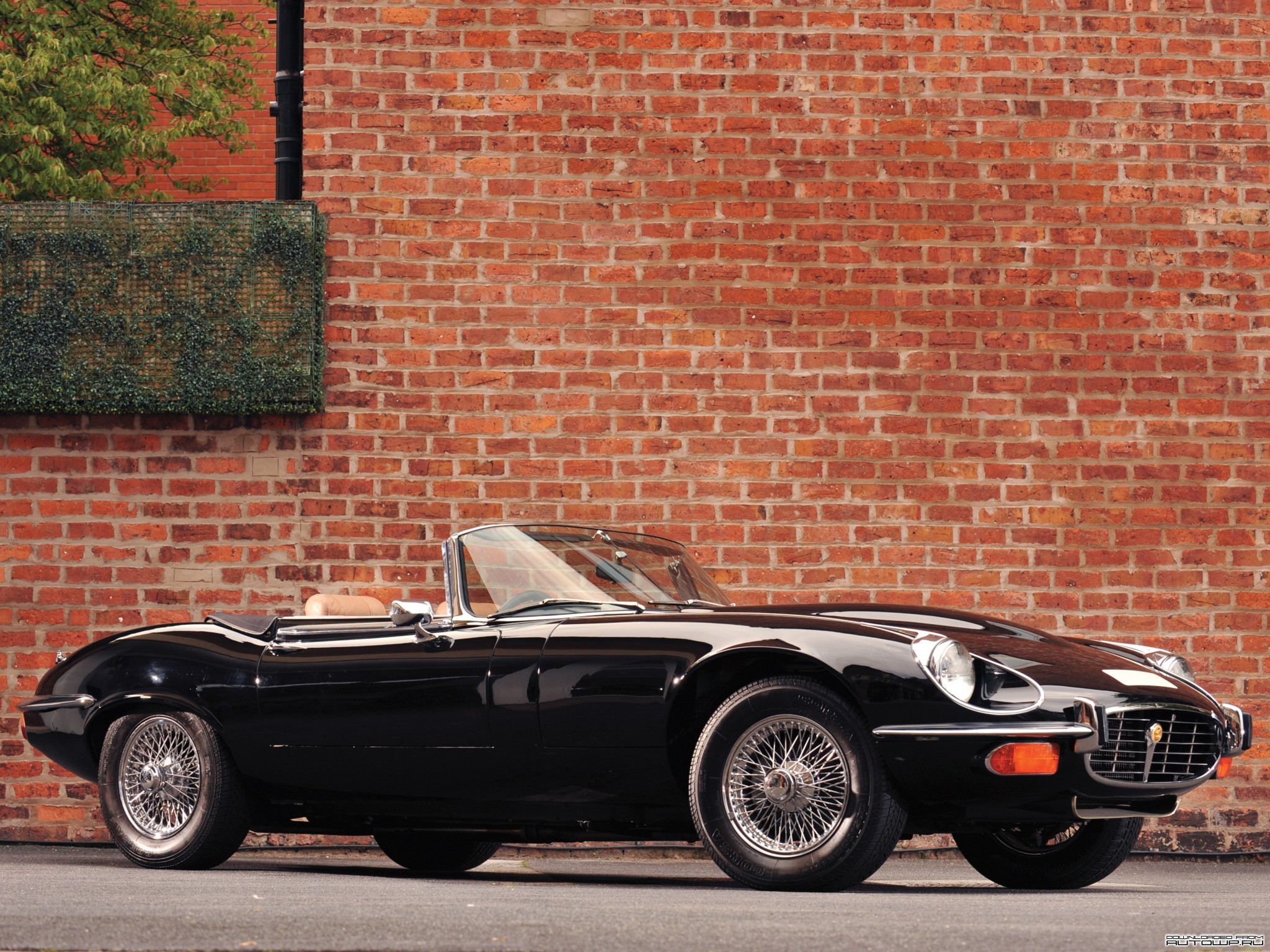 Jaguar E-type V12 roadster