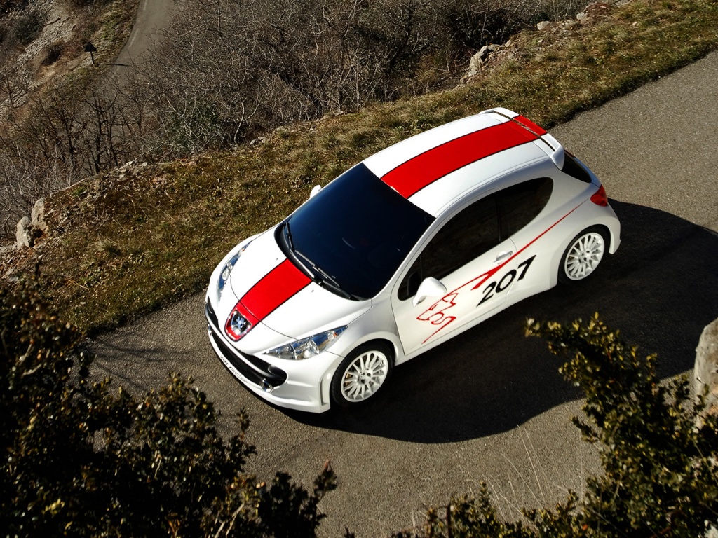 Peugeot 207 Rcup