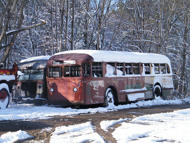 Unknown Buses