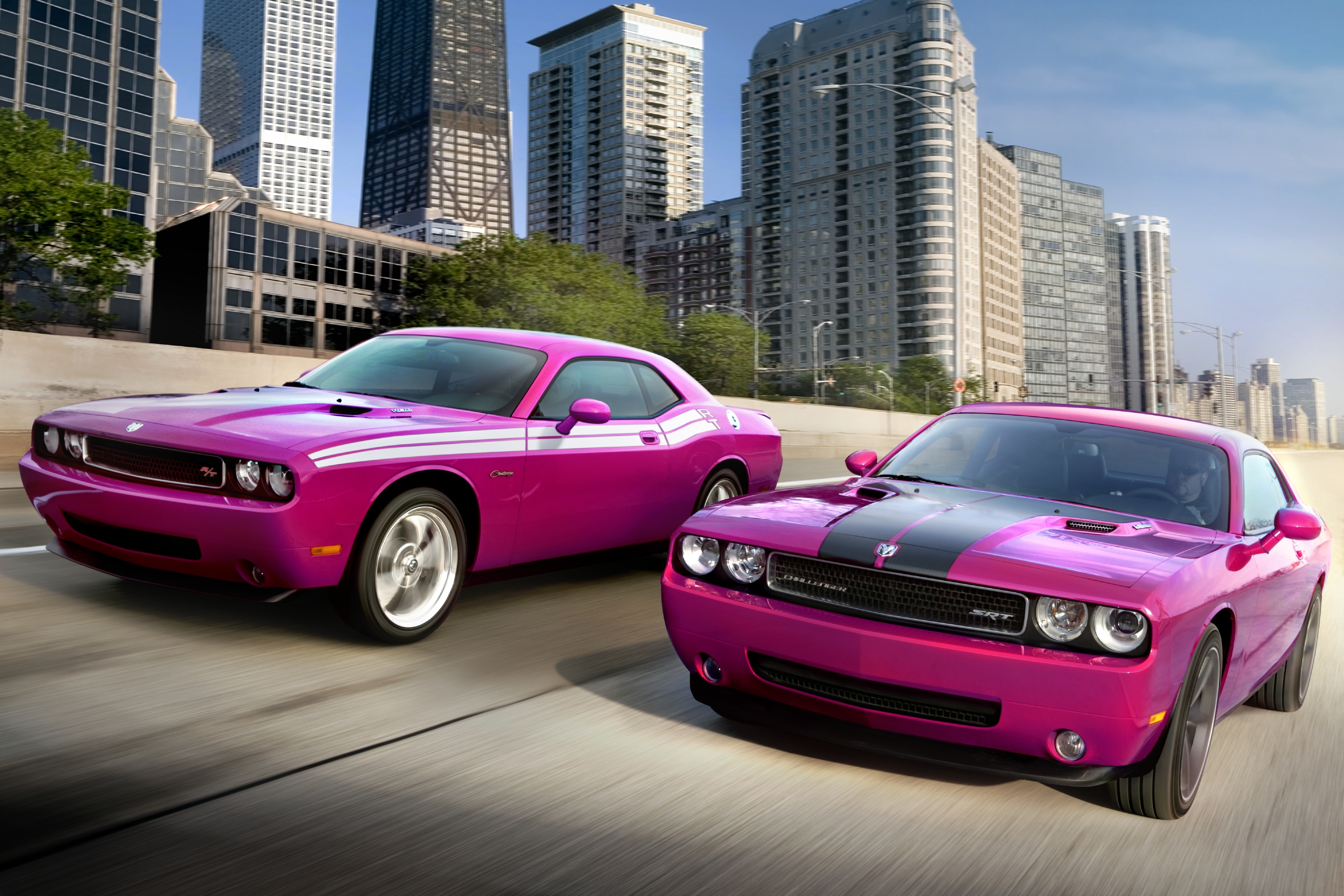 Dodge Challenger SRT8 Limited Edition