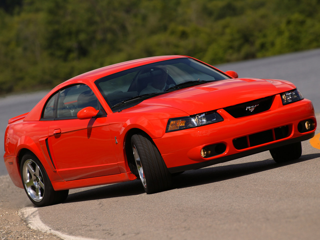 Ford SVT Mustang Cobra