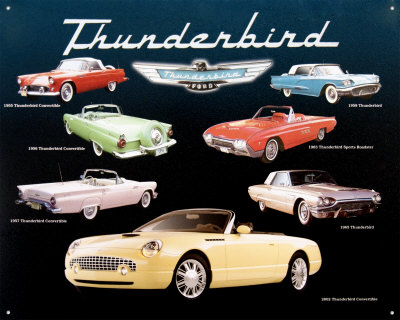 Ford Thunderbirds