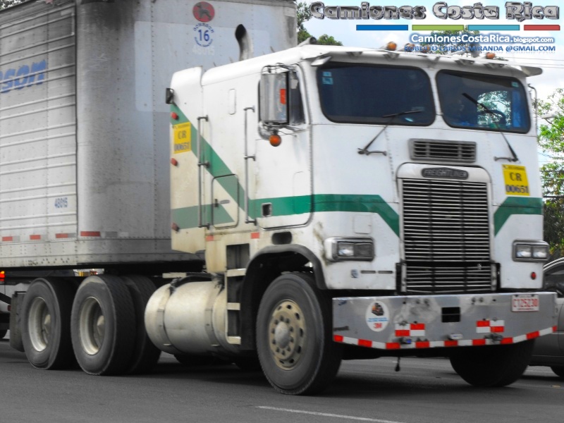 Freightliner FLA 8664 S