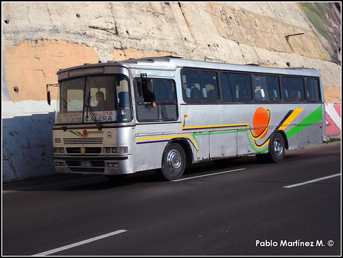 Mercedes-Benz OF 1318 Diplomata 310