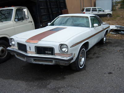 Oldsmobile Cutlass Hurst W30 Pace Car