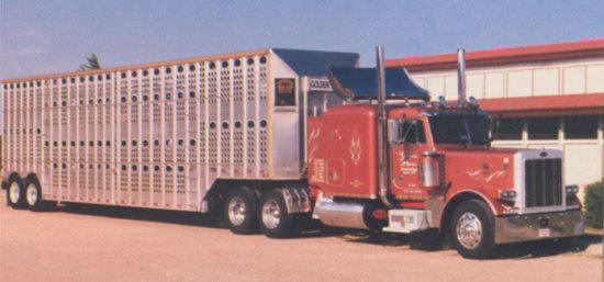 Peterbilt 379L